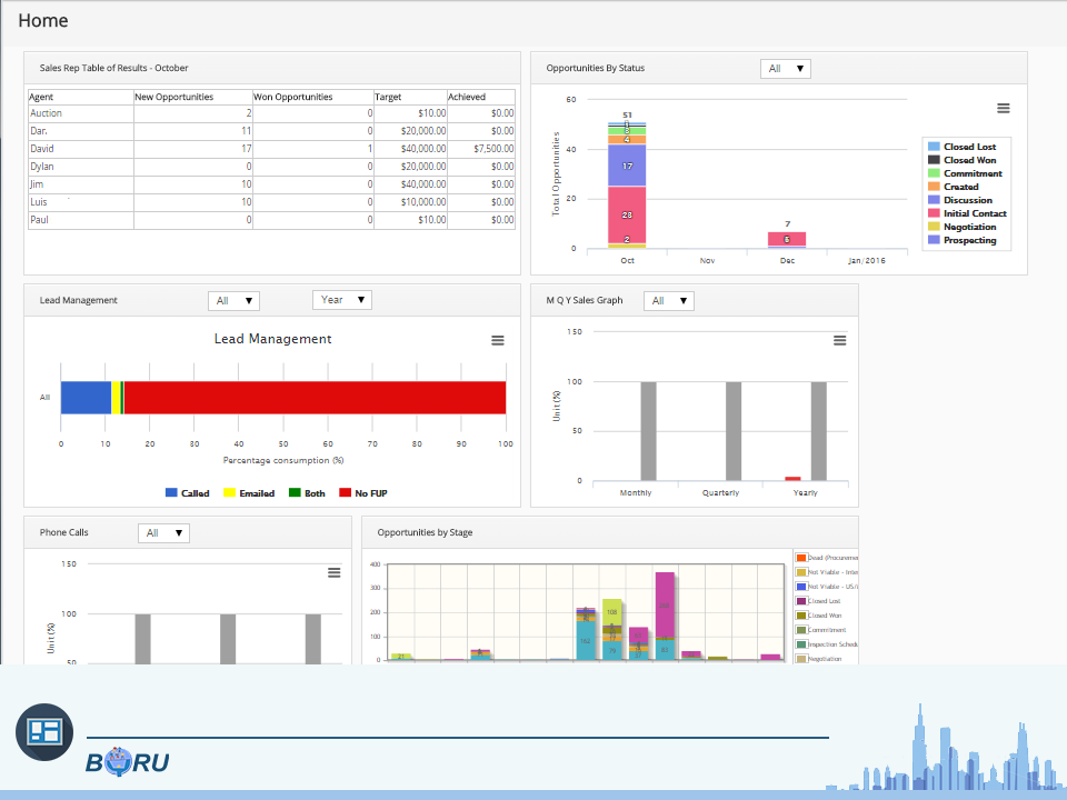 Custom Vtiger Dashboards - Boru Inc.